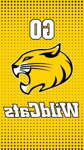 Instagram Story - Phone Background = Randolph College - Go WildCats yellow halftone pattern