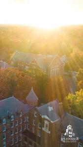 Instagram Story - Phone Background = Randolph College - Scenes - Autumn Glow