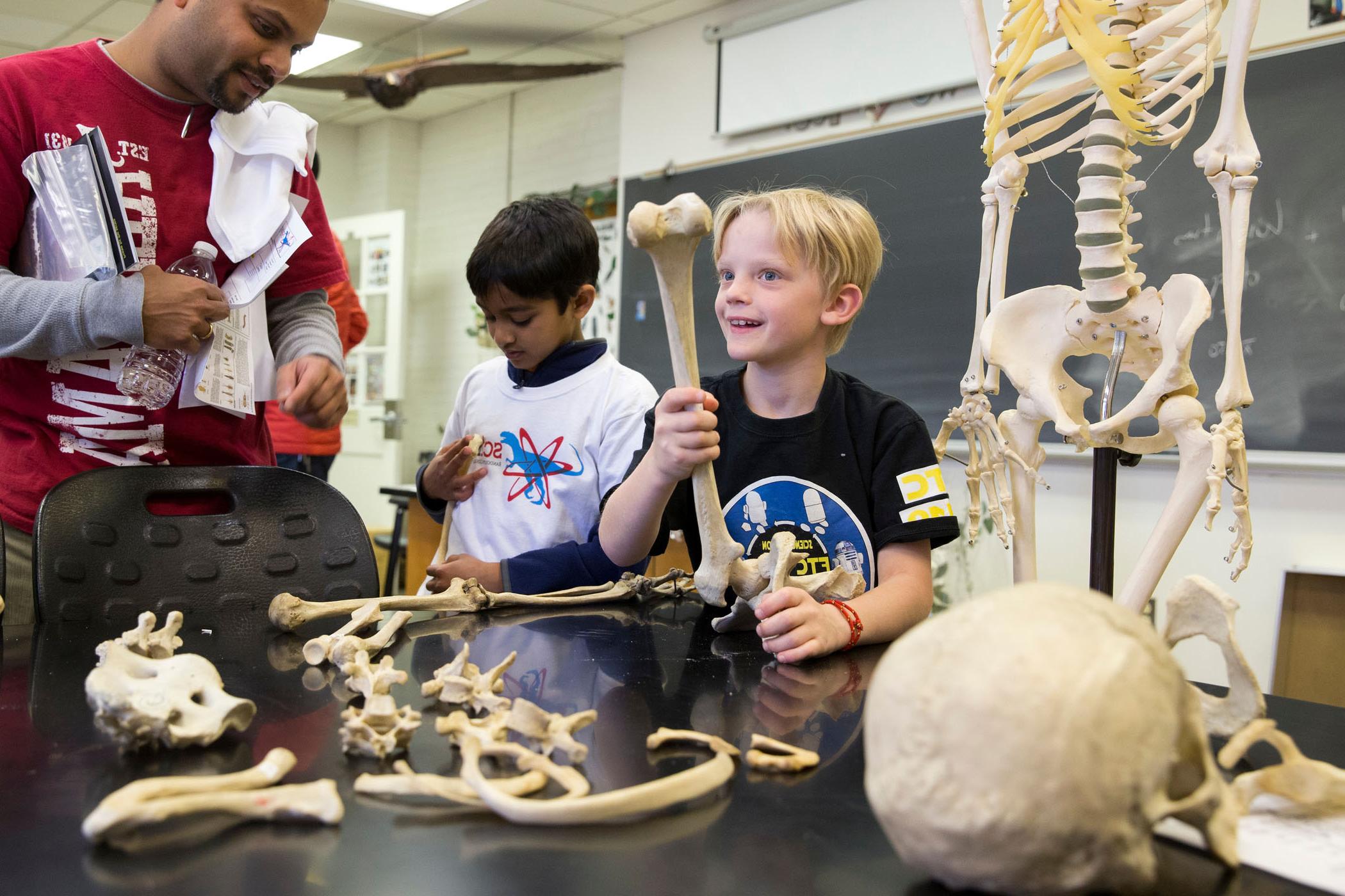 randolph-college-scifest-this-femur-is-not-humerus.jpg